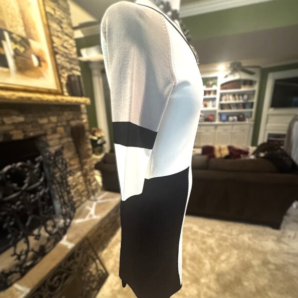 Calvin Klein Stylish Black, White and Tan Color Bloc long sleeve Dress size S - Picture 2 of 7